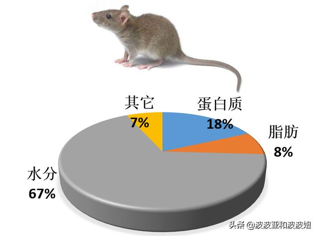 小鱼吃吃吃攻略:我家猫咪每天一碗新鲜小鱼合适吗？