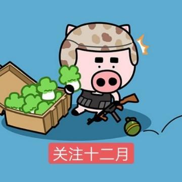 国际服为什么有那么多外挂？