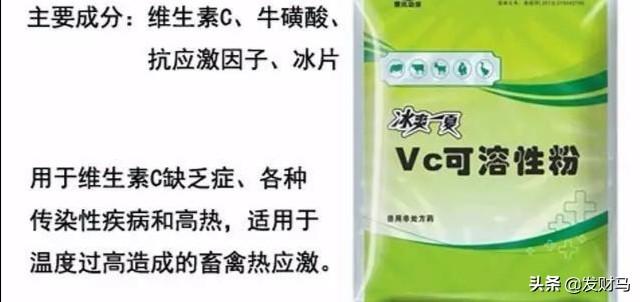 附红体病 治疗:临产母猪附红细胞体病怎么治疗？