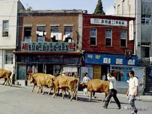 三星为何大到不能倒？插图16