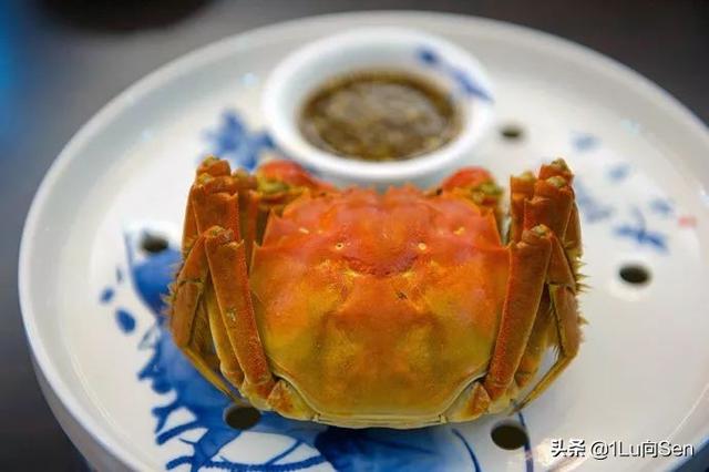 溱湖簖蟹:在哪里可以吃到正宗簖蟹呢？