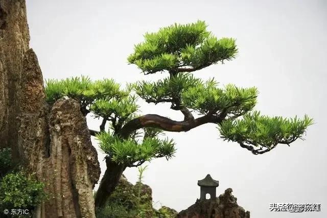 投资失败,负债40多万,老婆离婚,父亲刚刚过世,还有什么比这更惨？该如何振作？