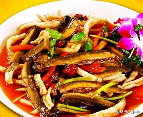 苦力泥鳅好不好:牛粪喂养泥鳅亩产多少斤？为什么？