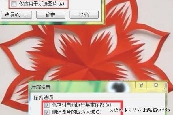 word中不显示图片，WPS、Word中不能插入图片或图片不显示