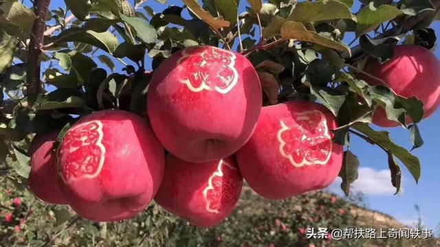 如何保证农产品不滞销？