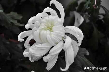 头条问答 - 亲人离世一直不能放下悲伤怎么办?(68个回答)