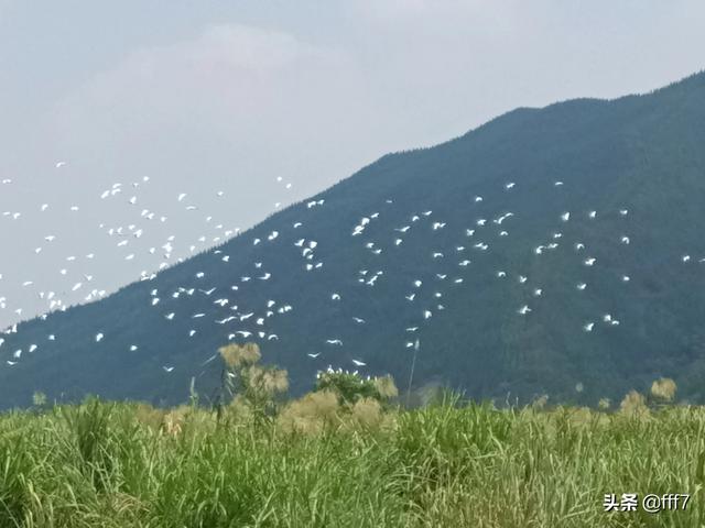 不想上学了怎么办？