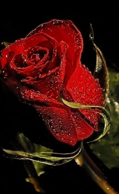 怎样学会眉毛的入门画法呢？插图58