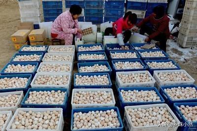 做电商需要学什么（跨境电商需要很好的英语基础吗）