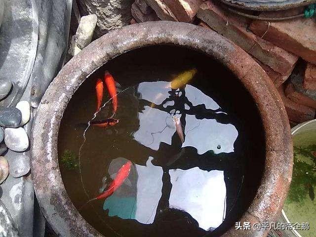 马大胆:《龙岭迷窟》马大胆骗来胡八一就只是为了谋财吗？