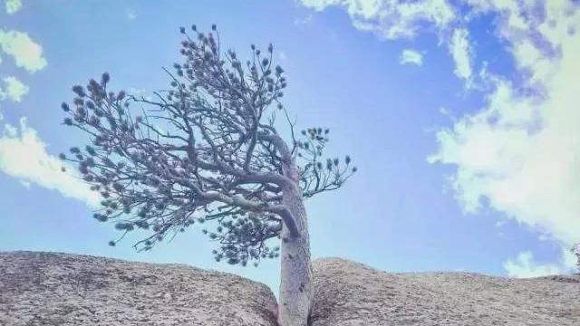 甘肃马拉松灵异事件:甘肃马拉松比赛真正死这么多人的原因是什么？