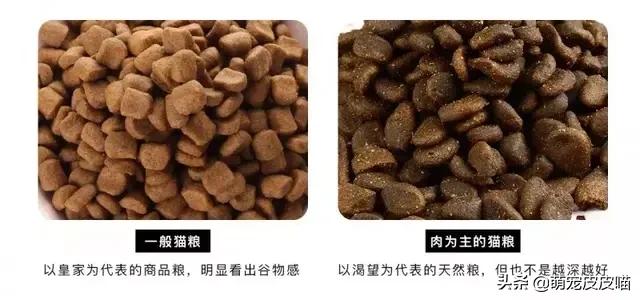 四个字的猫粮品牌:家里有四只猫，有没有比较推荐的猫粮？