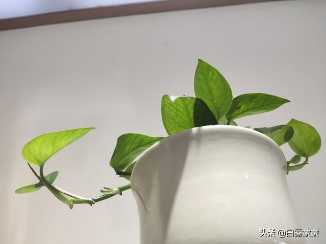 那些不抽烟不喝酒不蹦迪,圈子干净的女孩子,是怎么熬过低谷期的？难过的时候会干些什么呢？