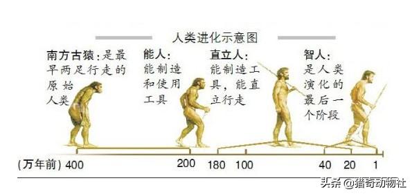 追踪那野兽 恐锤:张玉环案，真凶现在最害怕什么？他该有哪些反常？