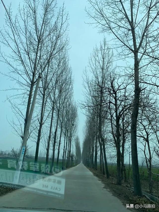 公众号素材网站有哪些:推荐几个可以免费下载无损音乐的微信公众号？(免费听音乐的公众号)