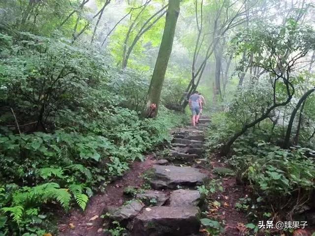 秦岭一日游最佳路线？