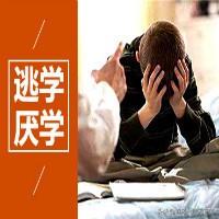 男孩逃课爬泰山:儿子上初二，逃课、无心学习，怎么办