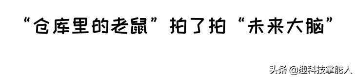 《哪吒之魔童降世》，哪吒以后会用莲藕复活，那敖丙呢