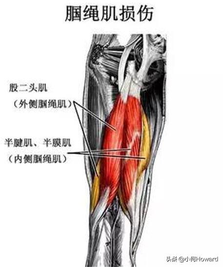 男性锻炼方法,男性应该做什么锻炼身体？
