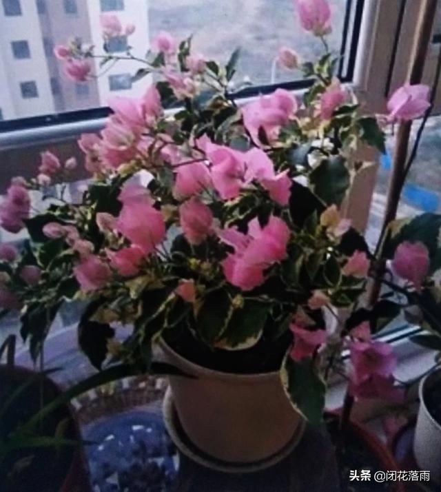 外遇稀有品种:现如今，出轨真的普遍存在吗？什么类型的人容易出轨？