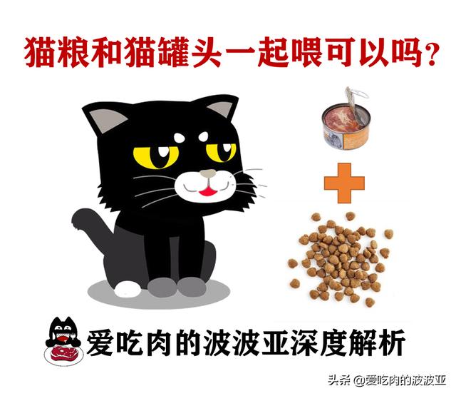 猫咪打完疫苗后能吃猫罐头鱼吗:猫咪要做绝育手术了，需要哪些注意事项，绝育之后猫咪会健康吗？ 猫咪打完疫苗可以吃猫罐头吗