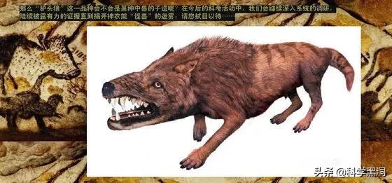 神秘生物:全球十大神秘生物都是什么？它们真的存在吗？
