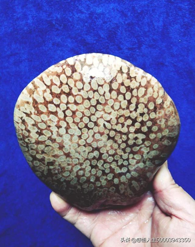 玉石的价值体现在哪几方面,您认为天然奇石和玉石之间都有那些区别？