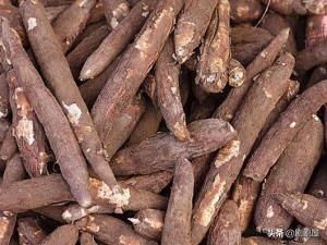 木薯怎么煮才没有毒:木薯不去皮煮好再煮好再剥掉，这样可以吃吗？有毒吗？