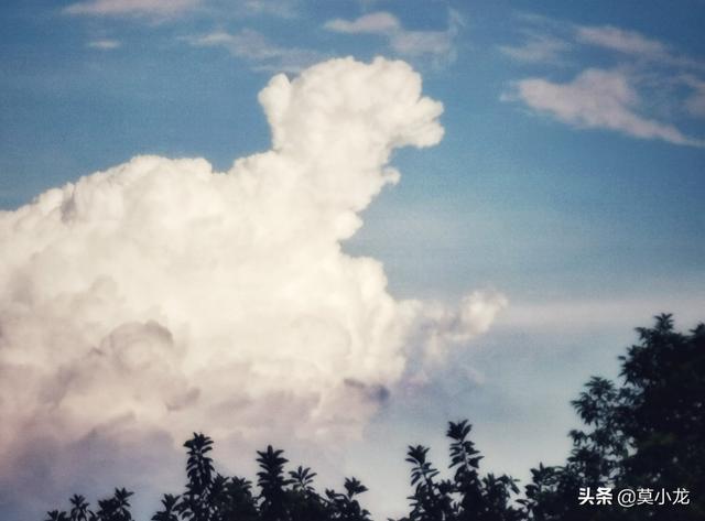 卫星拍的龙和，历史上的松花江坠龙是怎么回事真的从天下坠下龙了吗