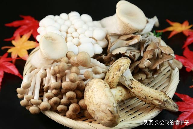 地皮菇都是如何烹饪的，您最喜欢的烹饪和食用普通蘑菇的方法是什么