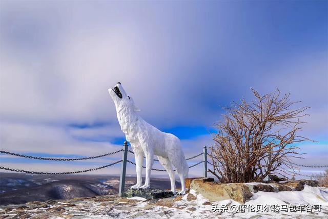 苏州宠物网型号规格:怎样的相机适合新手？有什么好相机可以推荐的？