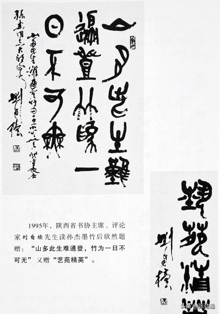 男子谋生杀猫卖钱细节曝光:只要是不违法，什么方法赚钱最快？