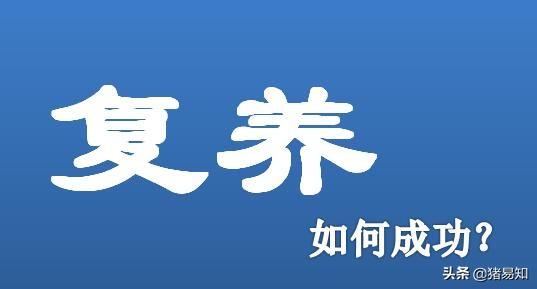 巴马香猪散放养视频:本人在山区小县城，不知道包山头搞散养怎么样，求教？