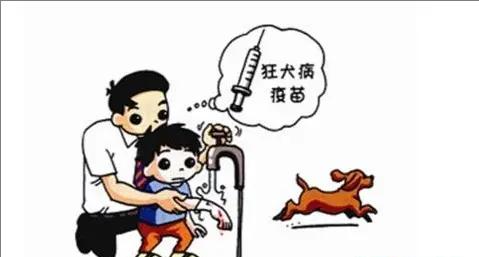 藏獒咬死主人:走路上被恶狗袭击，打狗头可以自救吗它的弱点在哪里