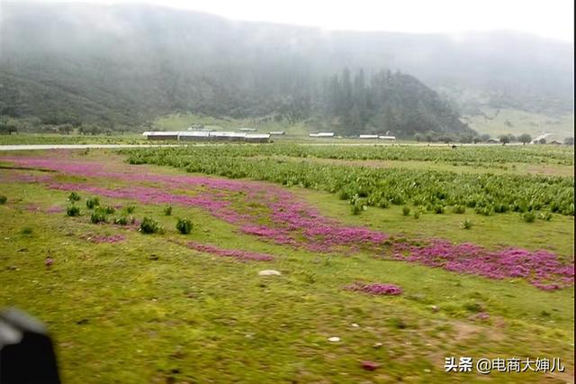 云南城子古村灵异事件:什么时间去云南旅游最好？