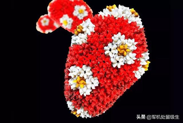 病毒和细胞,谁先出现？