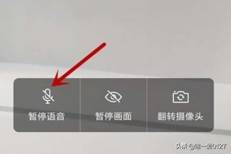 企业微信视频会议怎么关闭语音(微信会议怎么关闭麦)