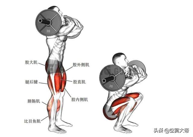 我们再来看看,如果需要练腿有哪些动作,分别练习到哪些肌肉?