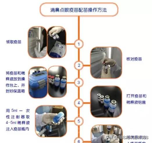 信鸽疫苗什么时候打最好:得了新城疫的鸽子能做新城疫苗吗？