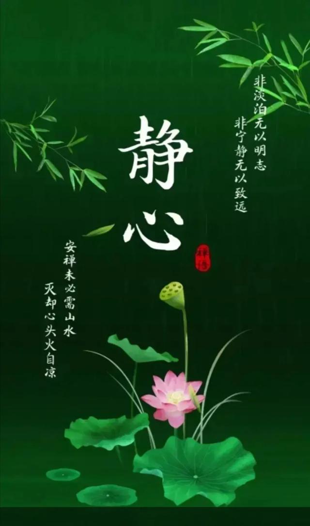 入定:你打坐吗，入定后是怎样的感觉？