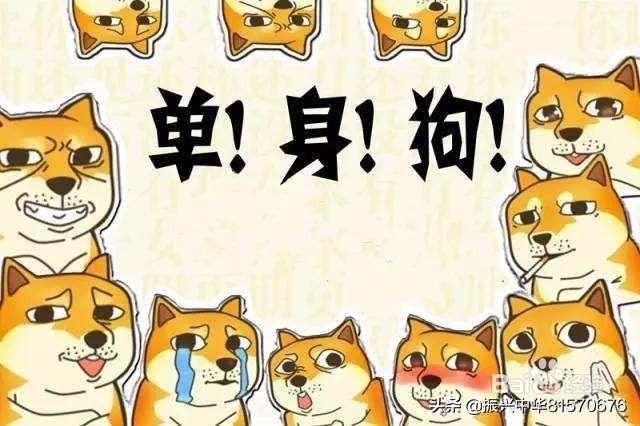 #约会七夕#单身狗的七夕节怎么过？