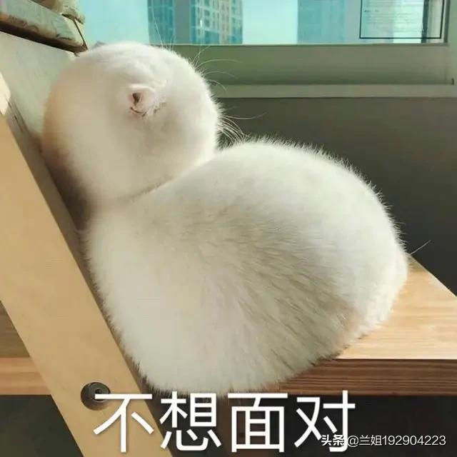 很皮又很幽默的话:有哪些句子幽默<a href=https://maguai.com/list/39-0-0.html target=_blank class=infotextkey>搞笑</a>，可以让我笑出鼻涕泡？