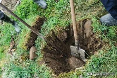 微信网名简单又有内涵中老年人简短:有哪些比较有寓意的小故事