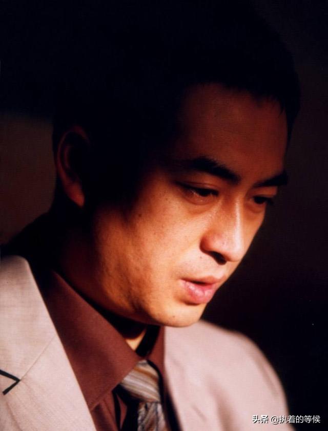 张嘉译演过的电视剧:我很喜欢看张嘉译演的电视剧，你们觉得他演得怎么样？