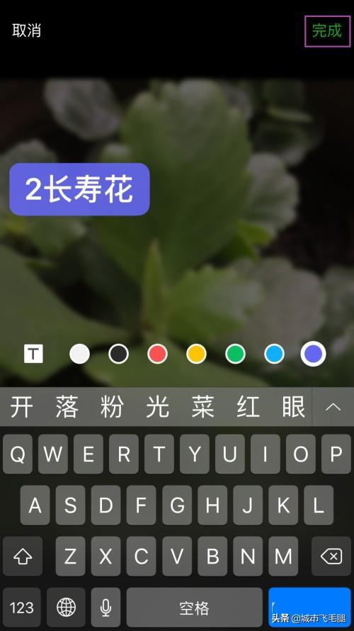 手机微信怎样拼图，在照片上标号或写字