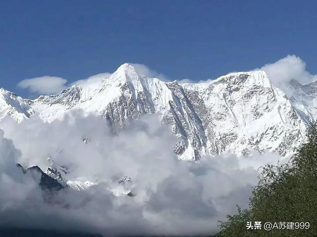 如果没有疫情影响,2020年你打算去什么地方旅行？