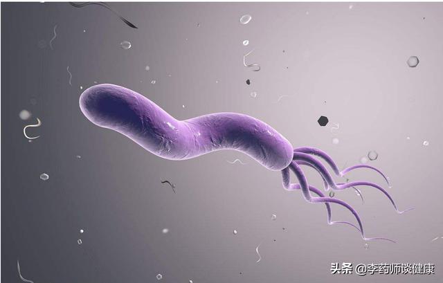 消化系统常见疾病:消化系统常见疾病有哪些 得了幽门螺杆菌会有什么病症？