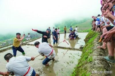 乡村斗狗大赛:农村适合举办什么运动比赛？