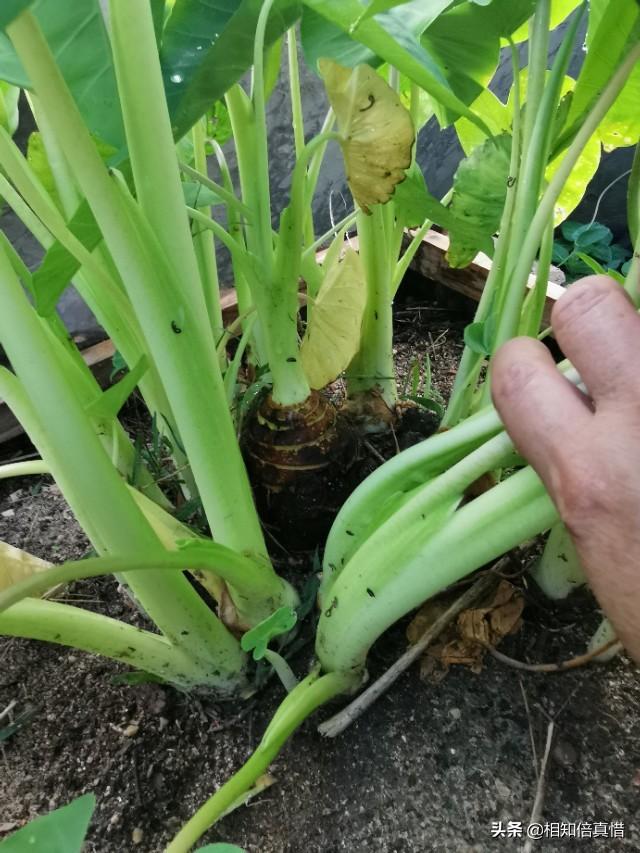 一看就暖心的头像:有没有类似的治愈系图片，在你不开心的时候看到事会很暖心？