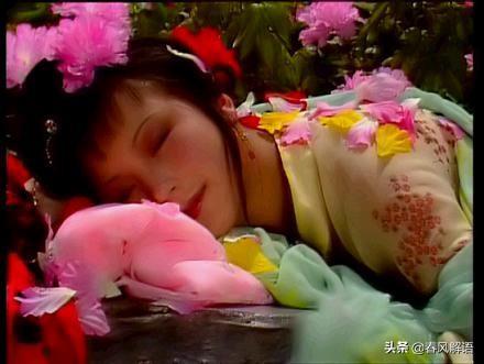 红楼梦中人物分析:《红楼梦》史湘云人物形象分析？